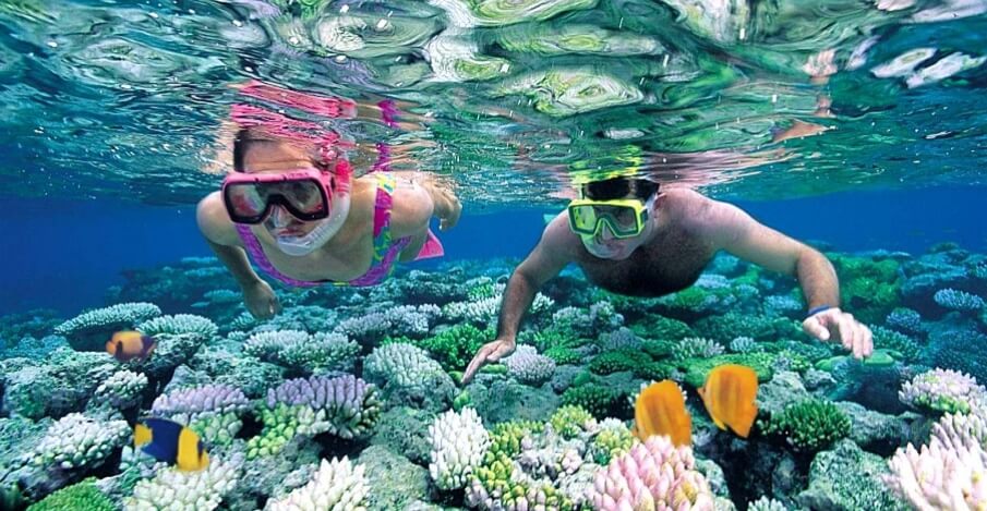 Hurghada snorkeling tour in the Red Sea