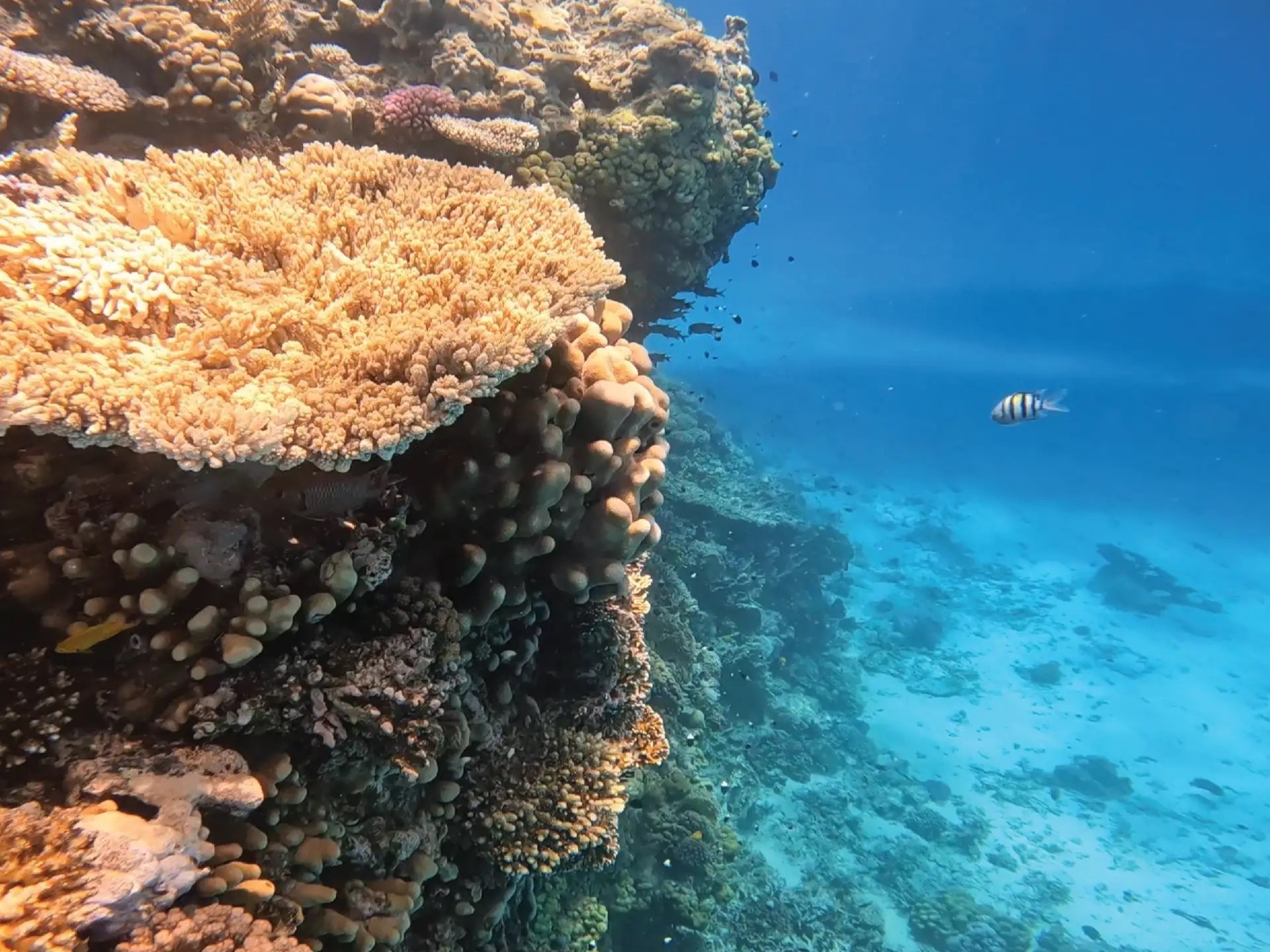 Guests enjoying the shallow waters of Orange Bay