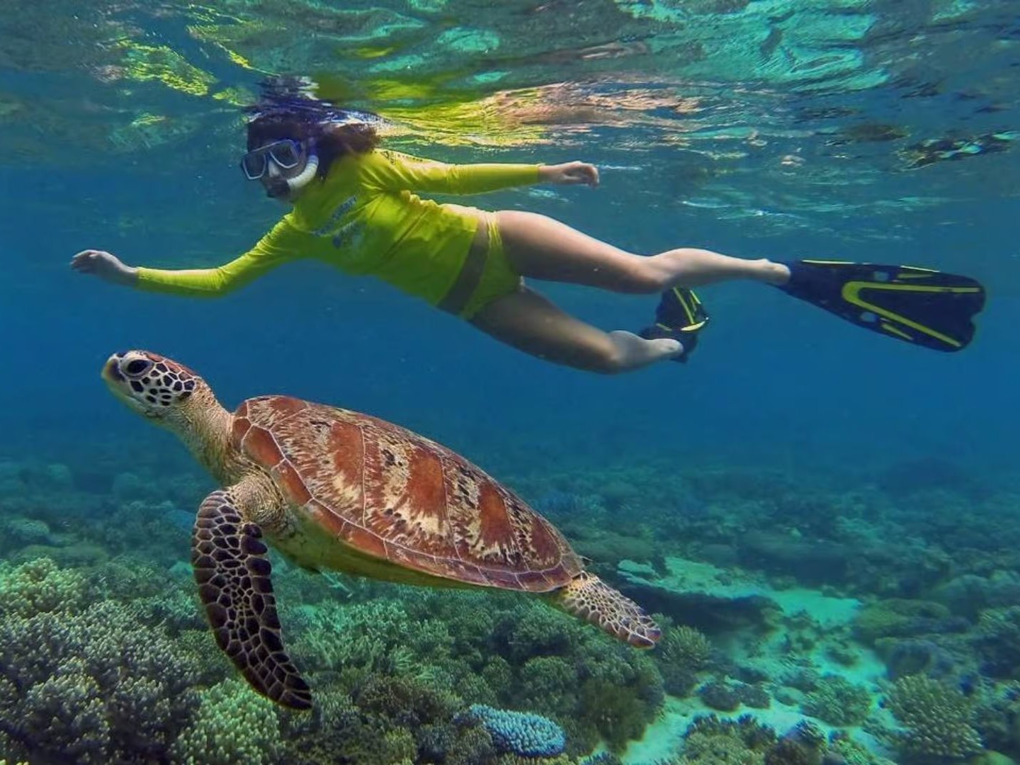 Snorkeler swimming next to a sea turtle over coral reef
