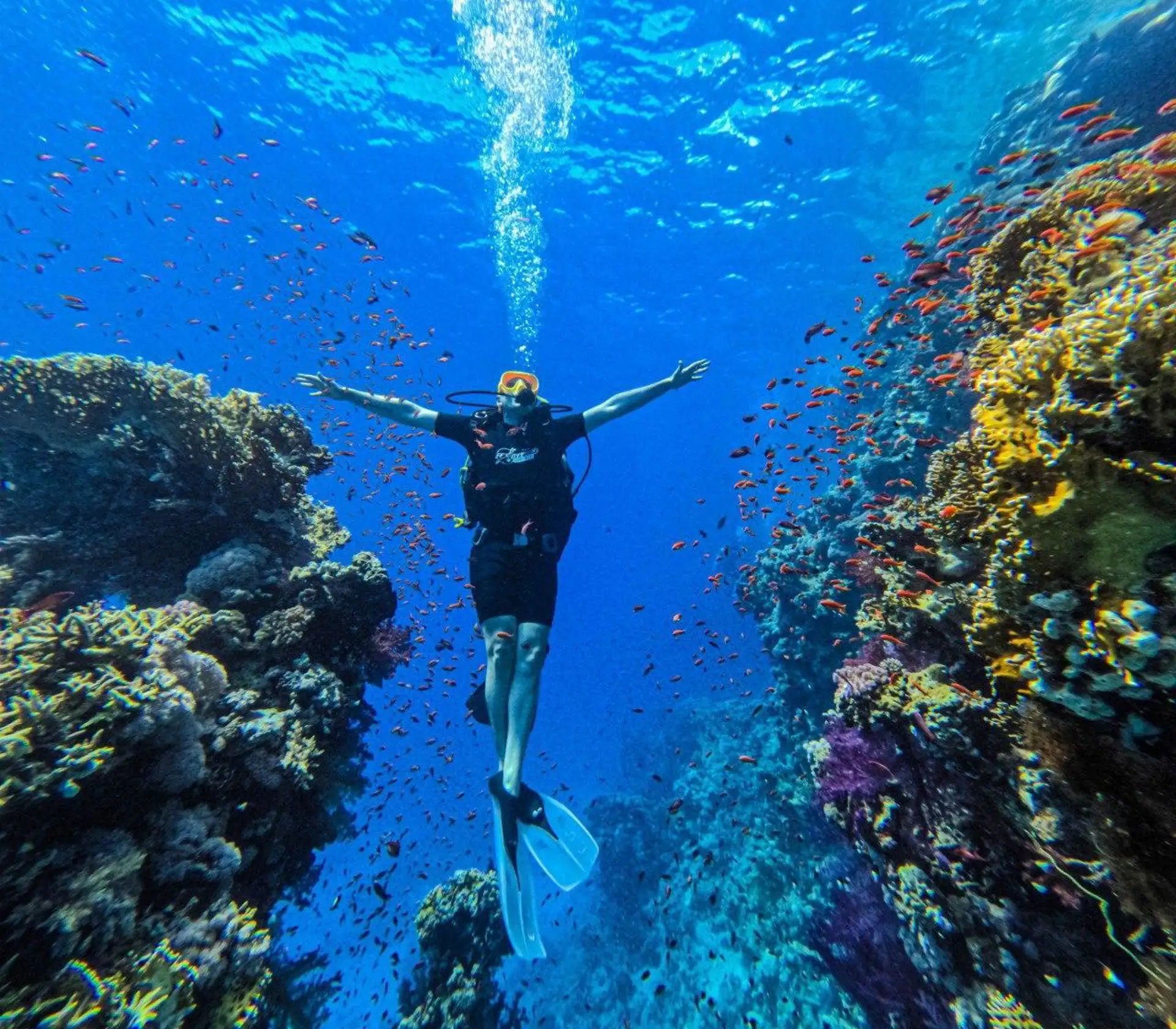 Sea Trip Ras Mohamed gallery photo 23