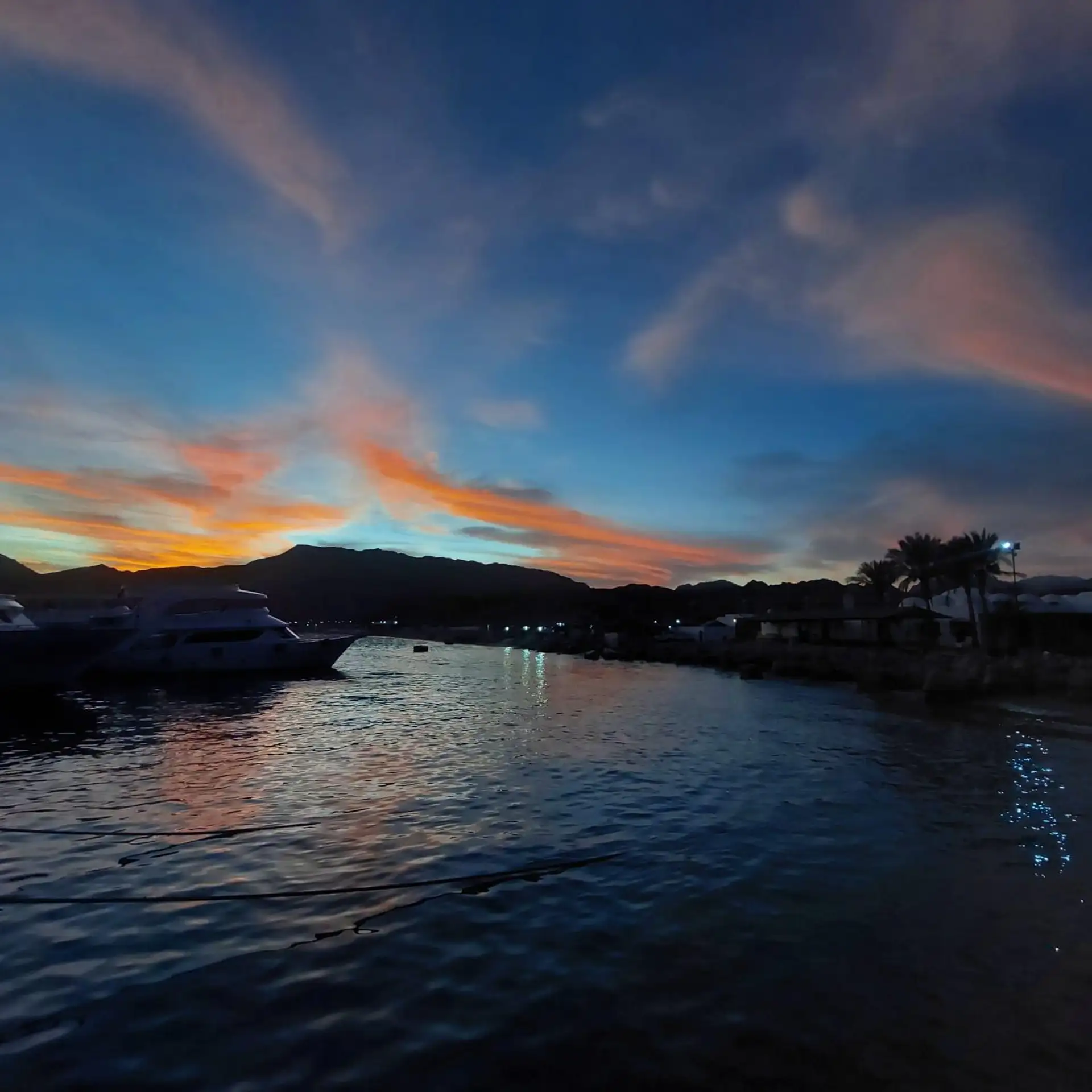 Sea Trip Ras Mohamed gallery photo 25