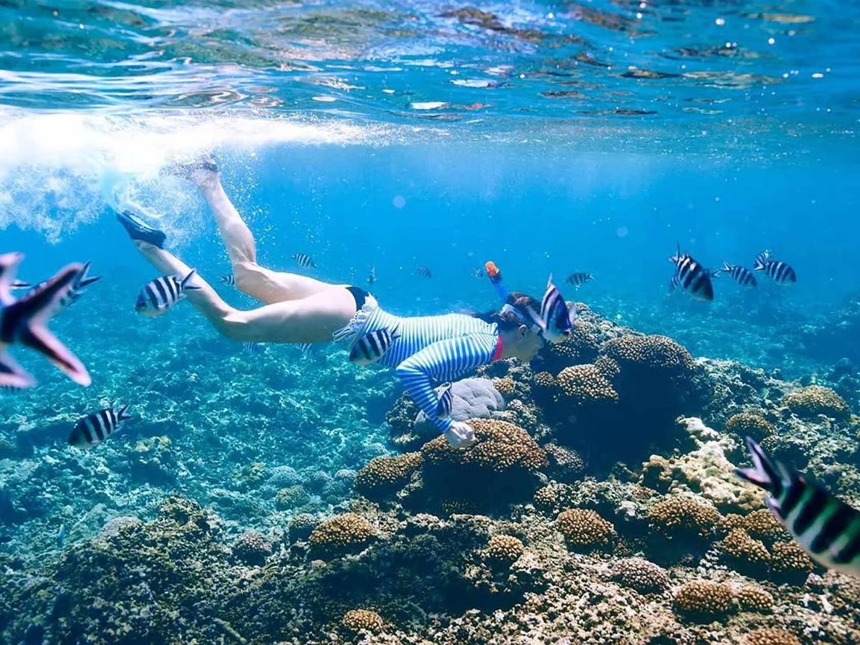 Snorkellers exploring the coral reef